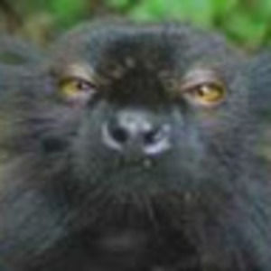 Meet your Posher, Wyatt